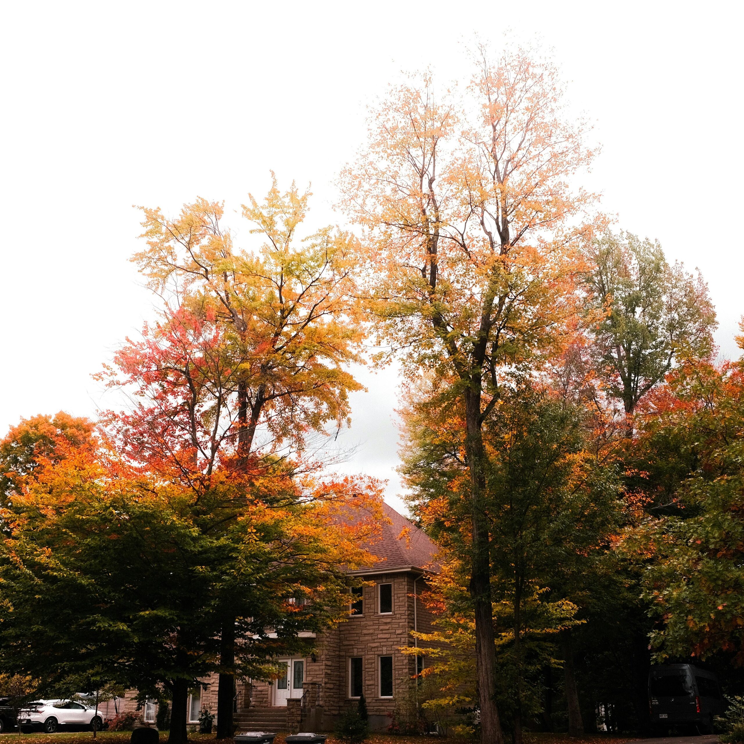Serene suburban house surrounded by colorful autumn foliage, capturing the essence of fall.
